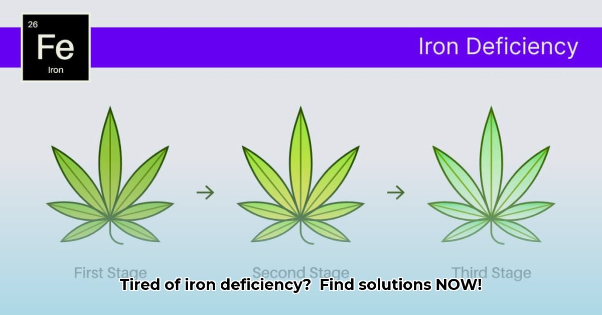 iron-deficiency-reddit